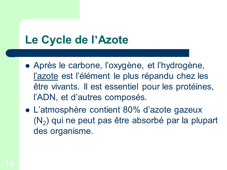 Le Cycle de l’Azote