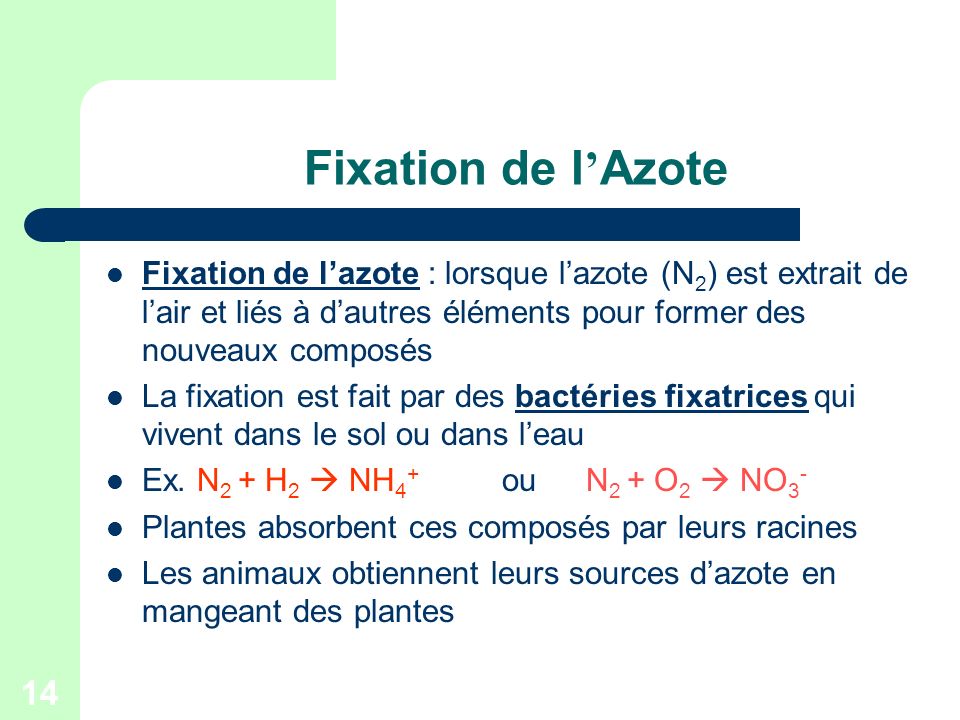 Fixation de l’Azote Fixation de l’azote : lorsque l’azote (N2) est extrait de l’air et liés à d’autres éléments pour former des nouveaux composés.