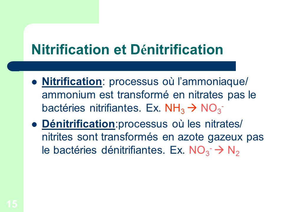 Nitrification et Dénitrification