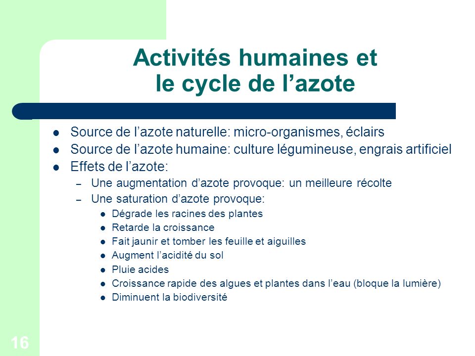 Activités humaines et le cycle de l’azote