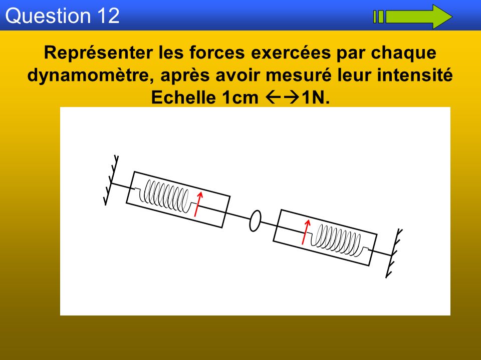 Question 12 Représenter les forces exercées par chaque dynamomètre, après avoir mesuré leur intensité.