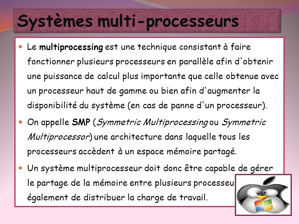 Systèmes multi-processeurs