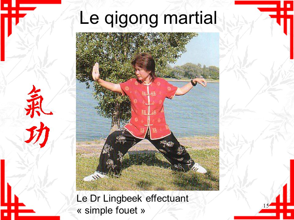 Le qigong martial Le Dr Lingbeek effectuant « simple fouet »