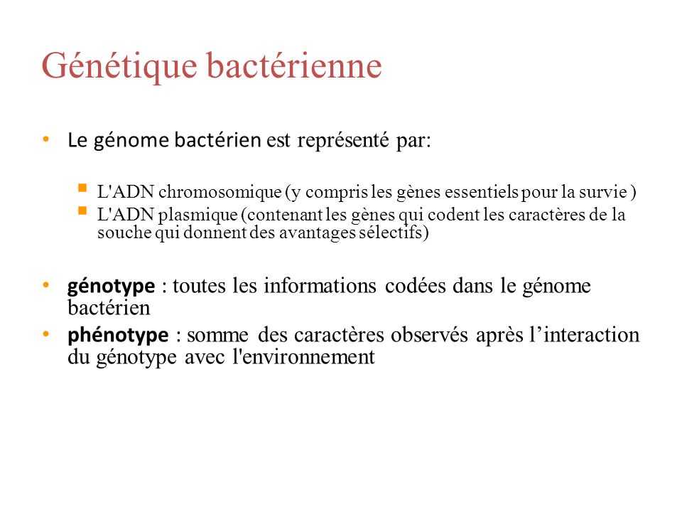 Génétique bactérienne