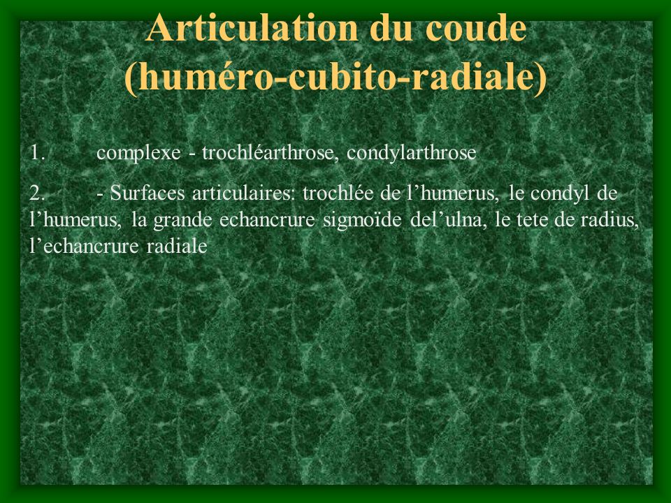 Articulation du coude (huméro-cubito-radiale)