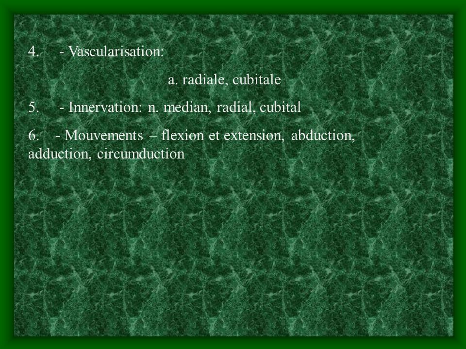 4. - Vascularisation: a. radiale, cubitale Innervation: n. median, radial, cubital.