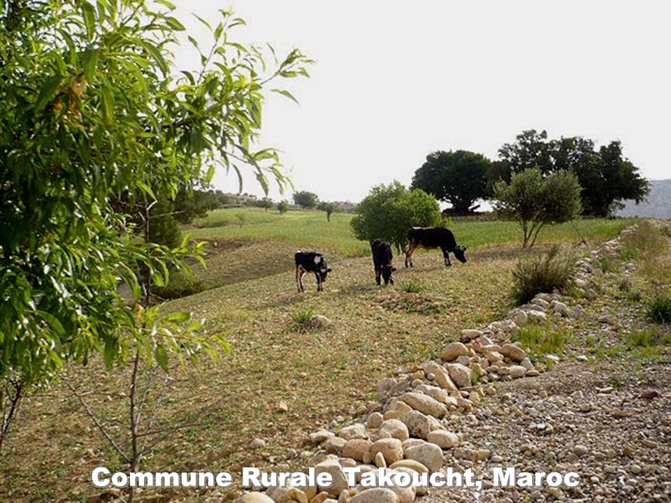 Commune Rurale Takoucht, Maroc