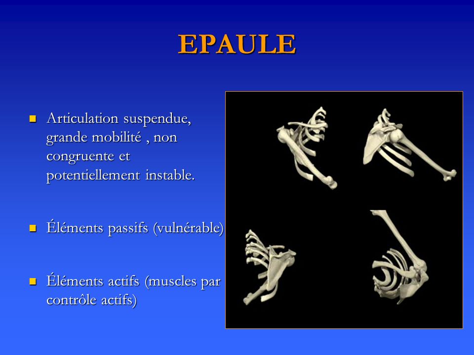 EPAULE Articulation suspendue, grande mobilité , non congruente et potentiellement instable. Éléments passifs (vulnérable)