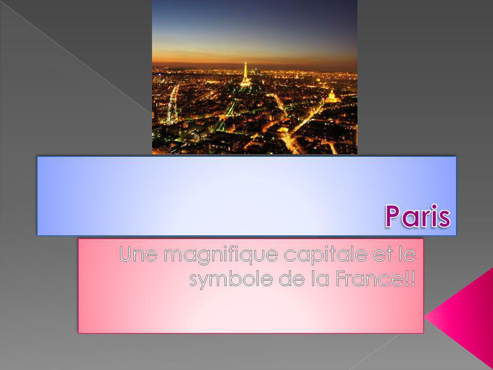 Une magnifique capitale et le symbole de la France!!
