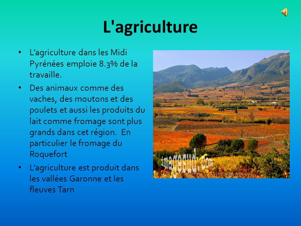 L agriculture L’agriculture dans les Midi Pyrénées emploie 8.3% de la travaille.