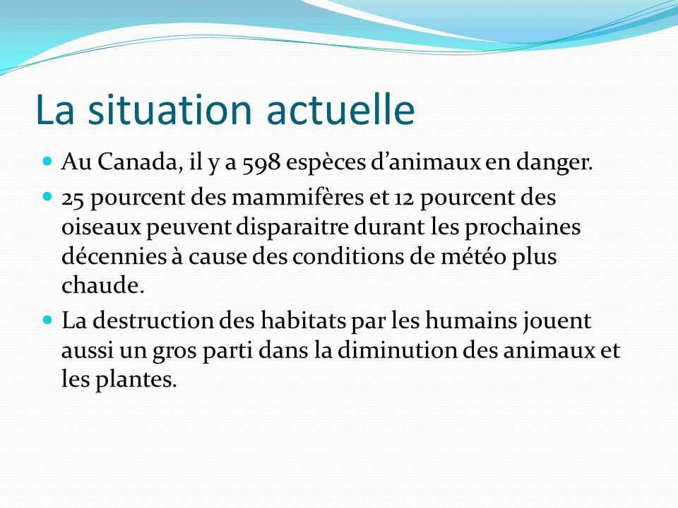 La situation actuelle Au Canada, il y a 598 espèces d’animaux en danger.