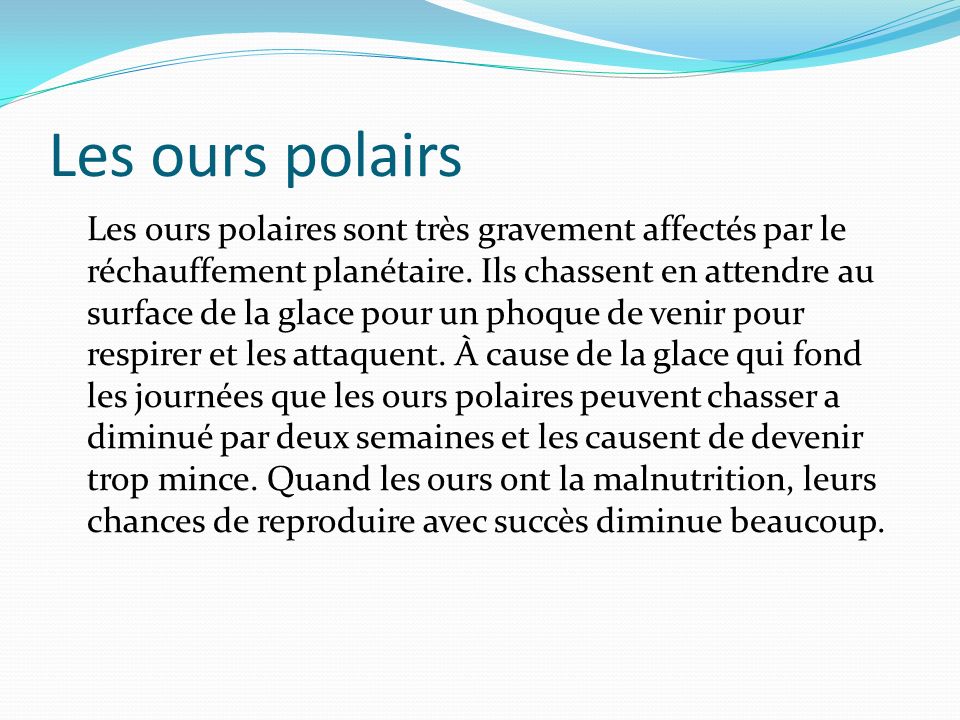 Les ours polairs