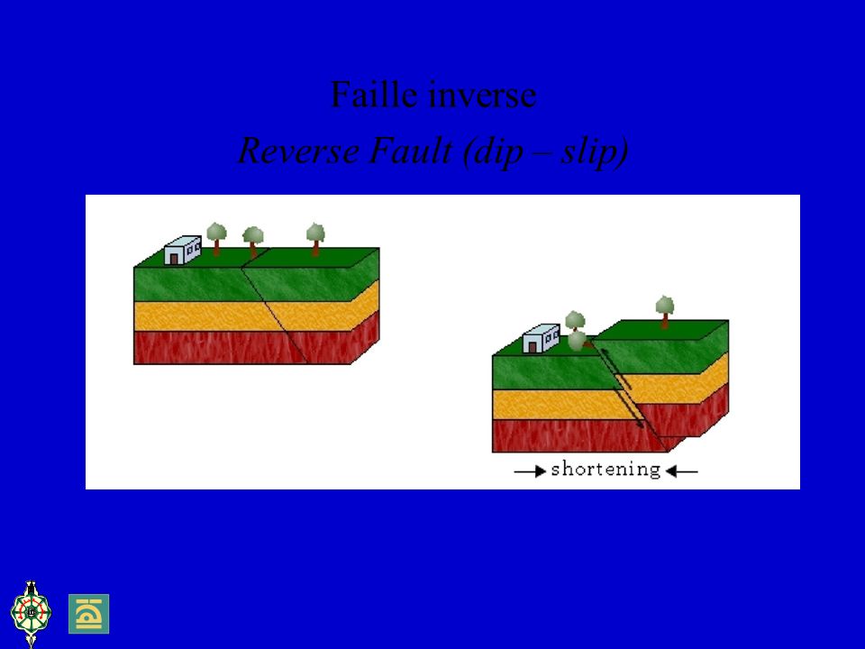Reverse Fault (dip – slip)