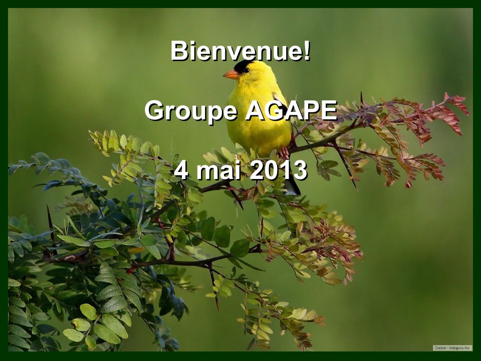 Bienvenue! Groupe AGAPE 4 mai 2013
