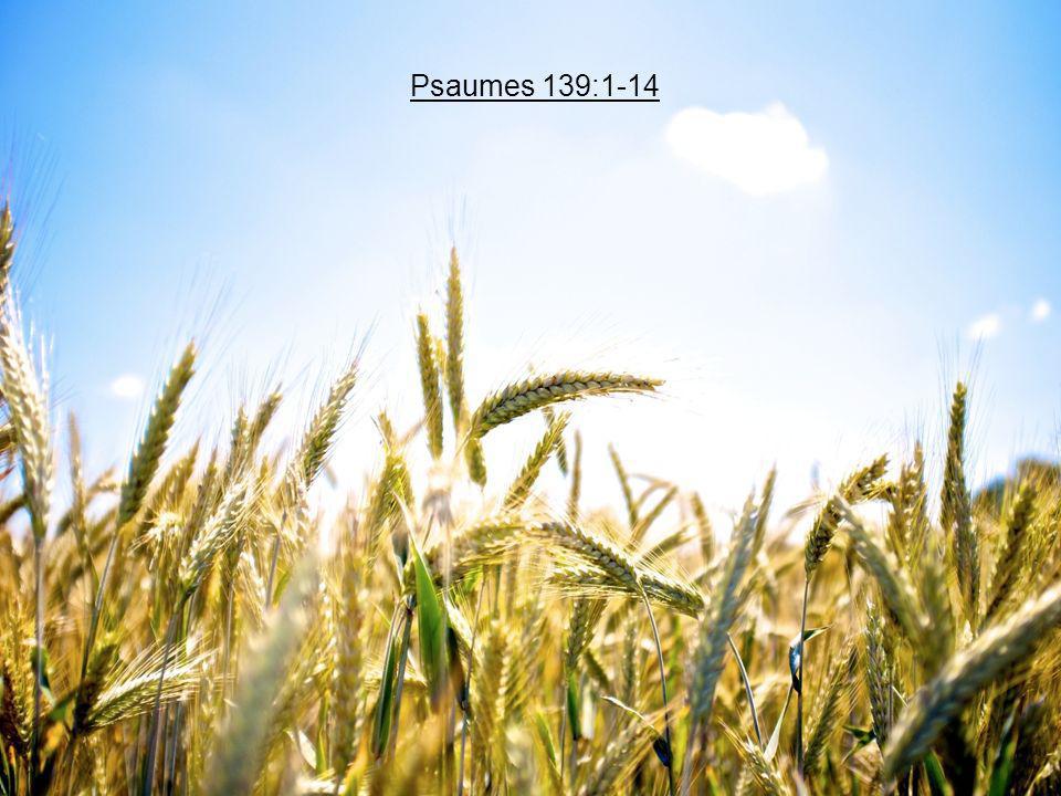 Psaumes 139:1-14