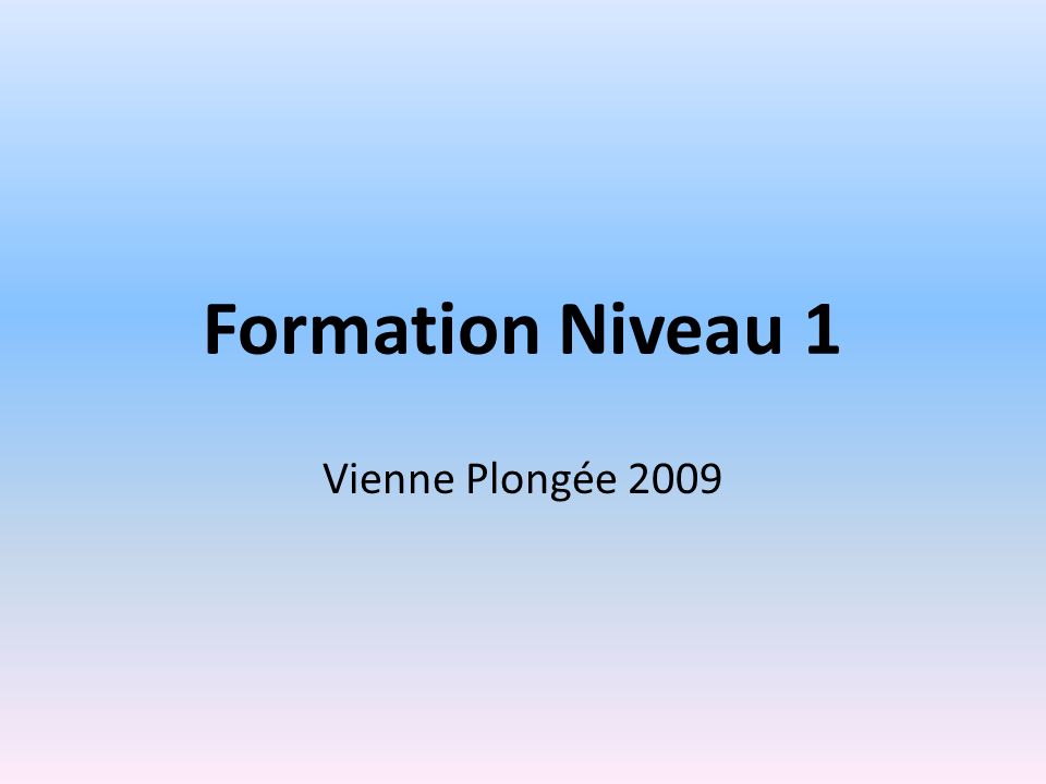 Formation Niveau 1 Vienne Plongée 2009