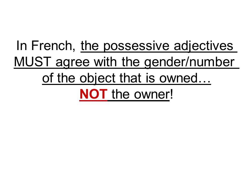 In French, the possessive adjectives MUST agree with the gender/number