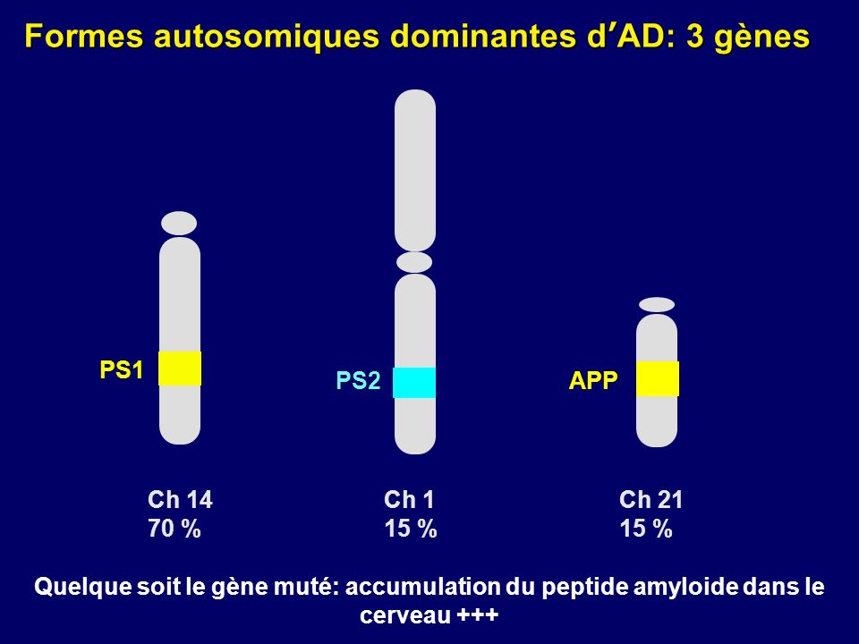Formes autosomiques dominantes d’AD: 3 gènes