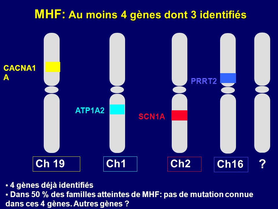 MHF: Au moins 4 gènes dont 3 identifiés
