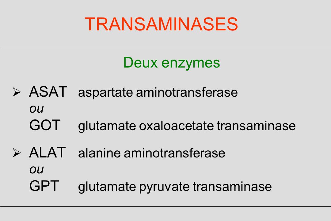TRANSAMINASES Deux enzymes ASAT aspartate aminotransferase ou