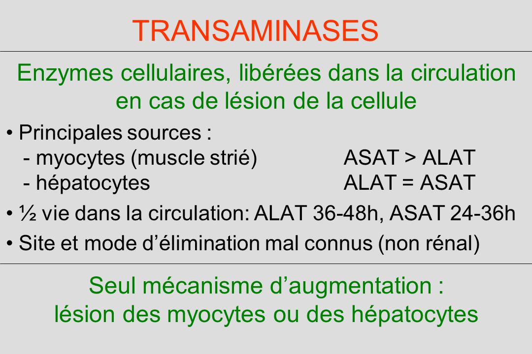 TRANSAMINASES Enzymes cellulaires, libérées dans la circulation