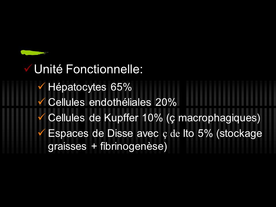 Unité Fonctionnelle: Hépatocytes 65% Cellules endothéliales 20%
