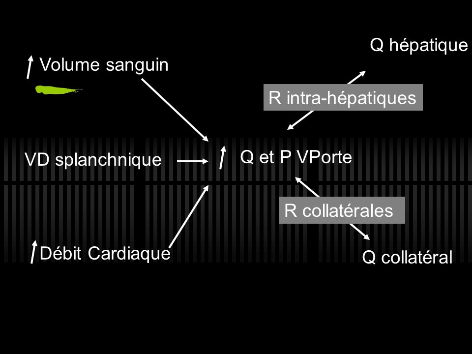 Q hépatique Volume sanguin. R intra-hépatiques. VD splanchnique. Q et P VPorte. Q collatéral. R collatérales.