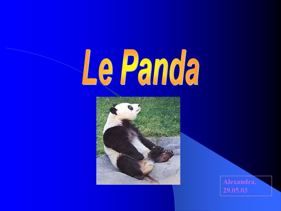 Le Panda Alexandra,