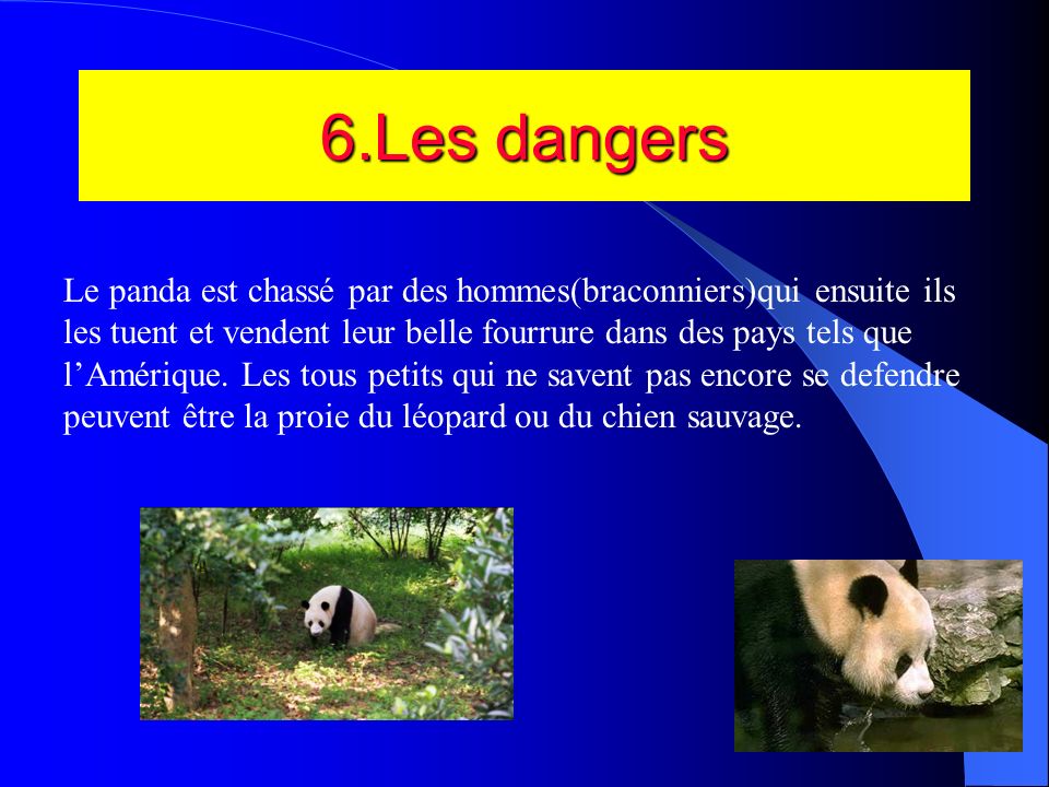 6.Les dangers