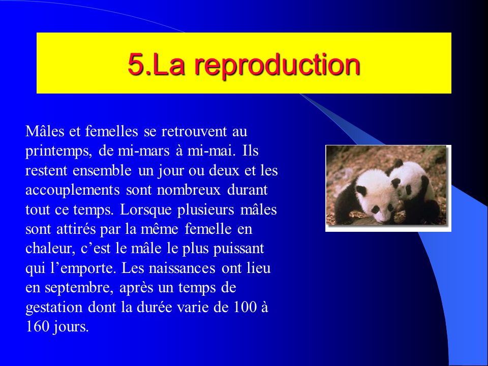 5.La reproduction