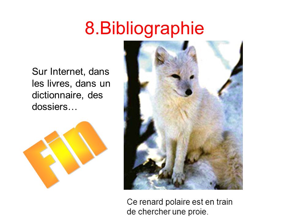 8.Bibliographie Sur Internet, dans les livres, dans un dictionnaire, des dossiers… Fin.