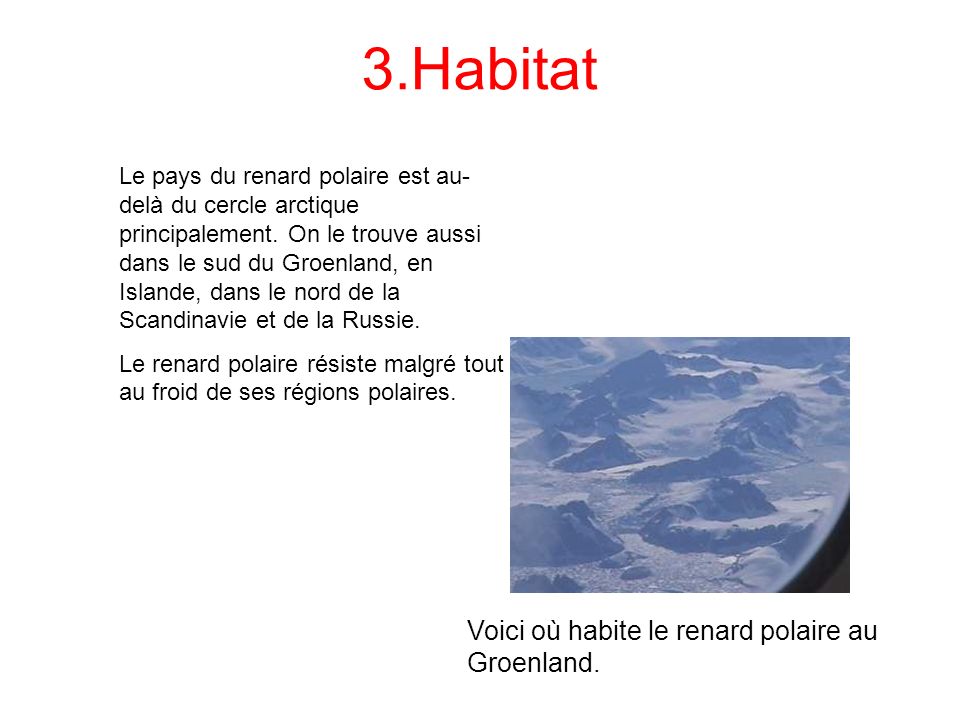 3.Habitat Voici où habite le renard polaire au Groenland.