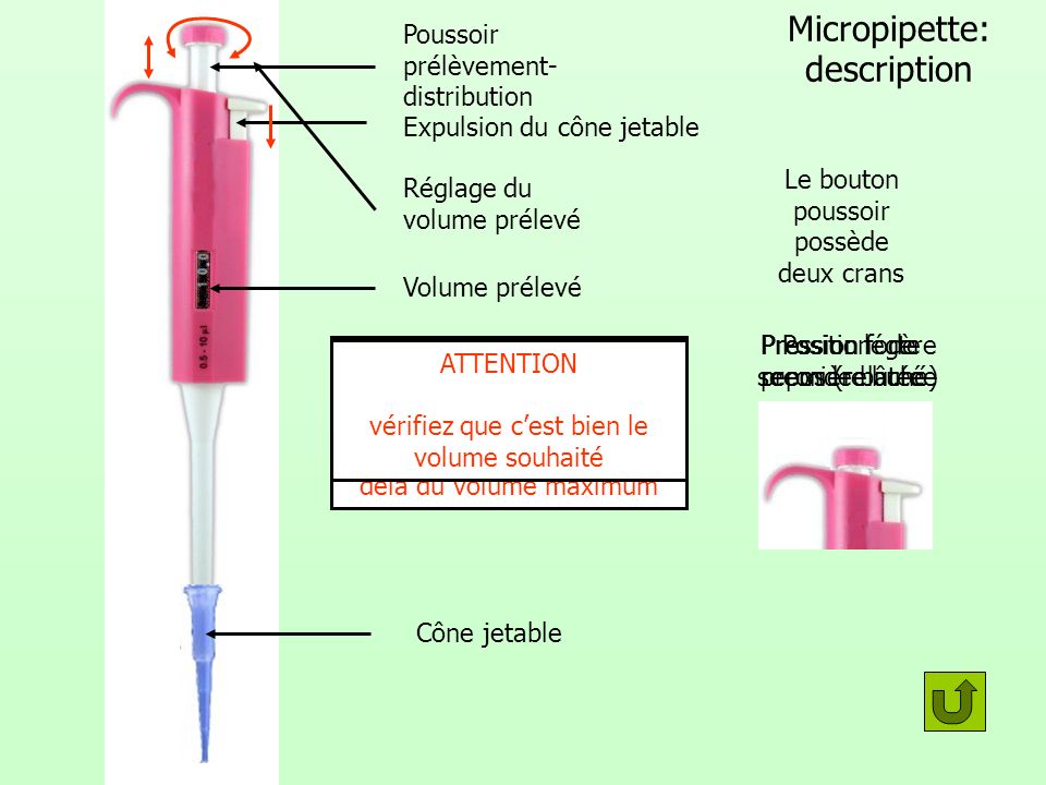 Micropipette: description