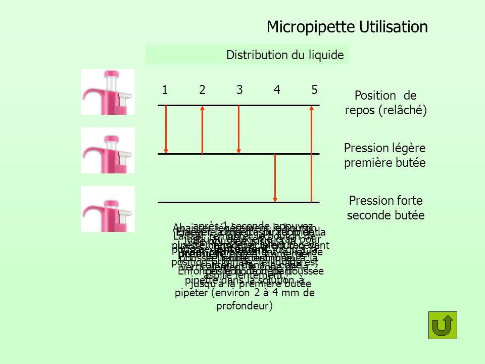 Micropipette Utilisation