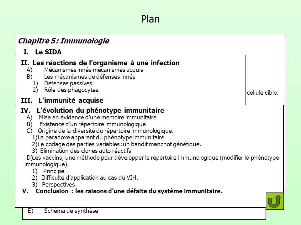 Plan Chapitre 5 : Immunologie I. Le SIDA II.