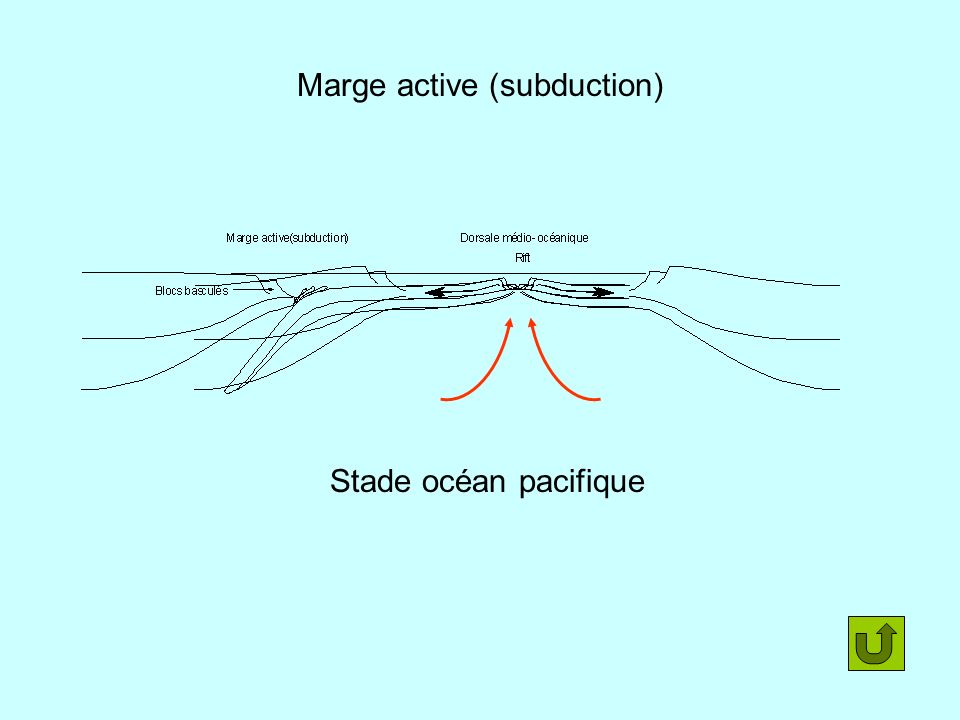 Marge active (subduction)