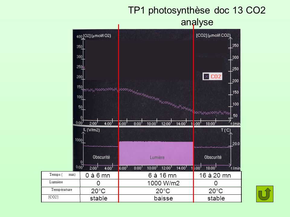 TP1 photosynthèse doc 13 CO2 analyse