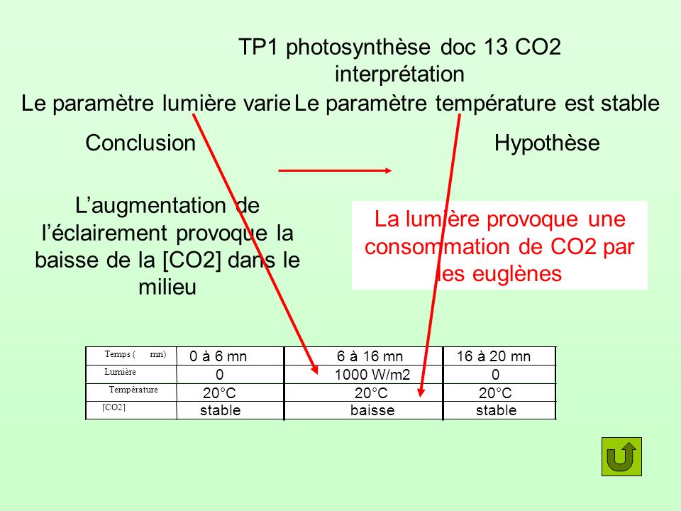 TP1 photosynthèse doc 13 CO2 interprétation