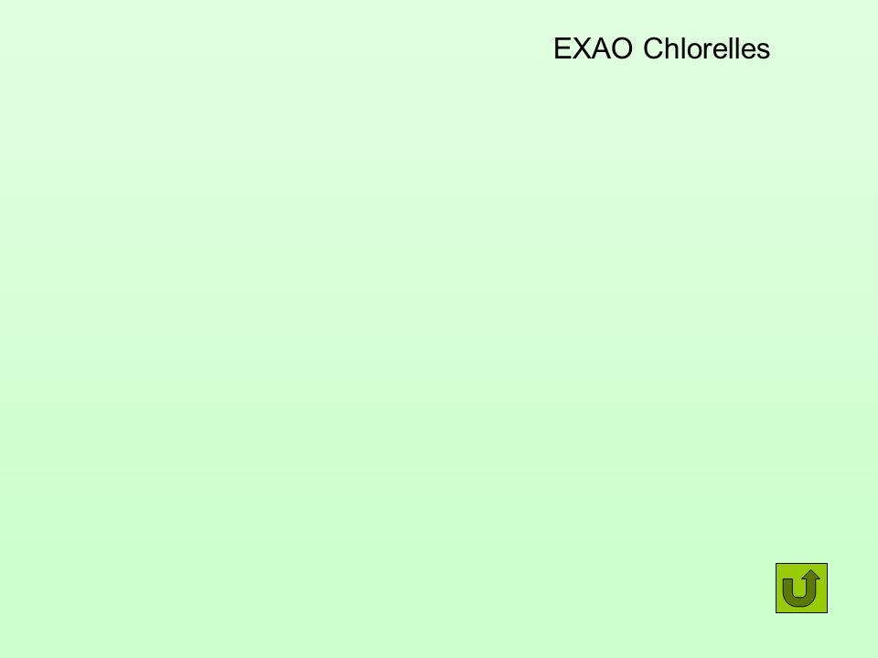 EXAO Chlorelles