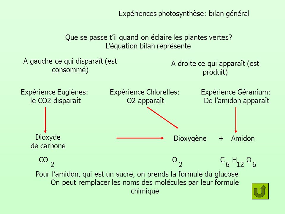 Expériences photosynthèse: bilan général