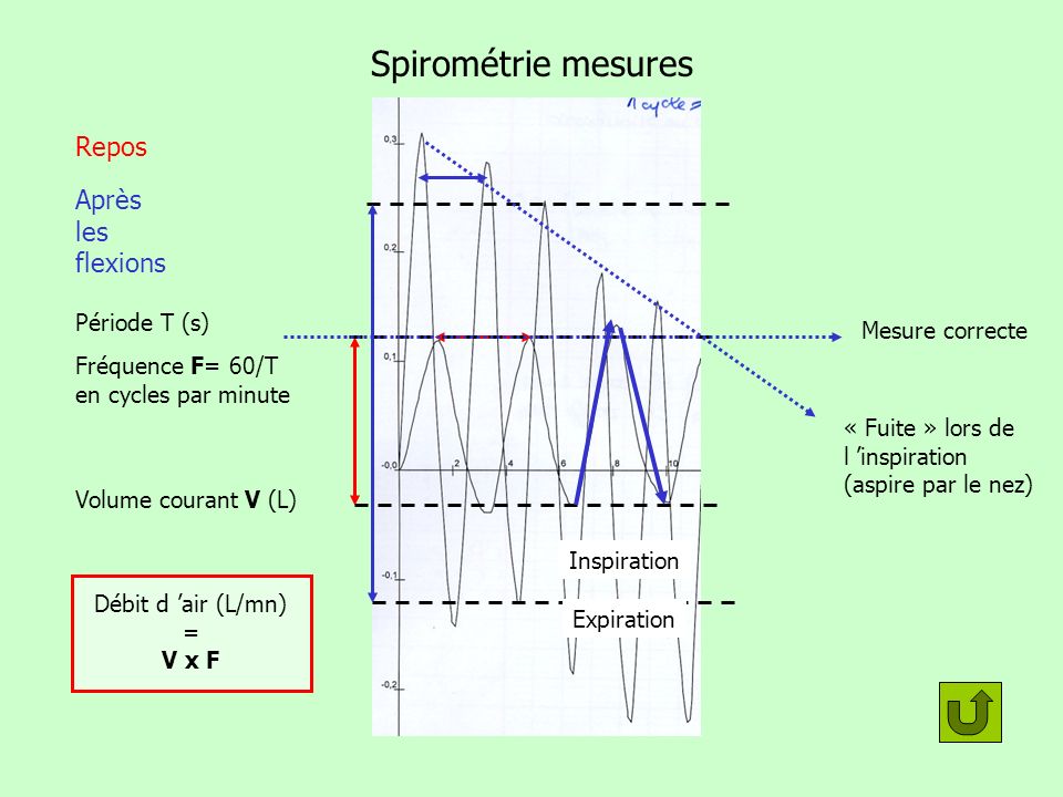 Spirométrie mesures Repos Après les flexions Période T (s)