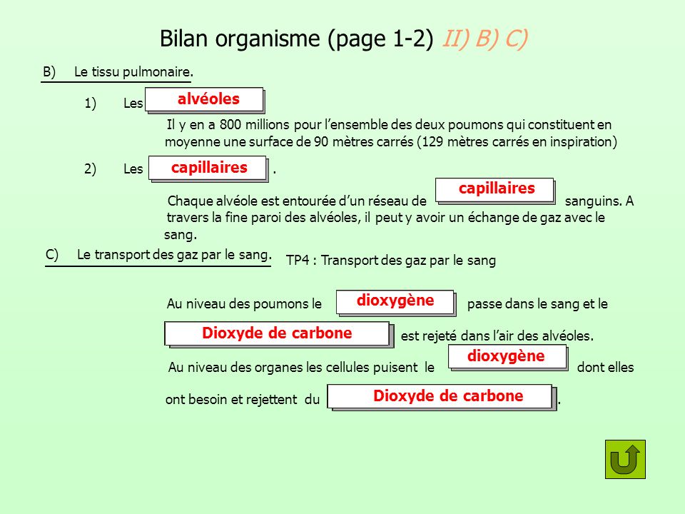 Bilan organisme (page 1-2) II) B) C)