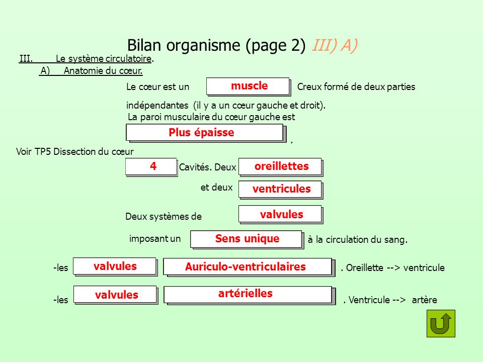 Bilan organisme (page 2) III) A)