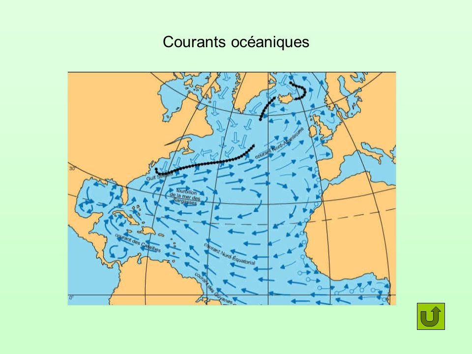 Courants océaniques