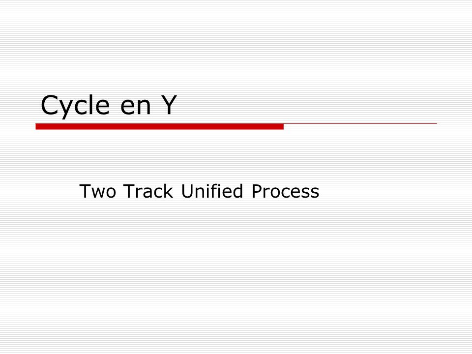 Two Track Unified Process