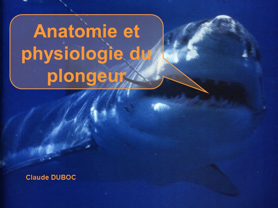 Anatomie et physiologie du plongeur