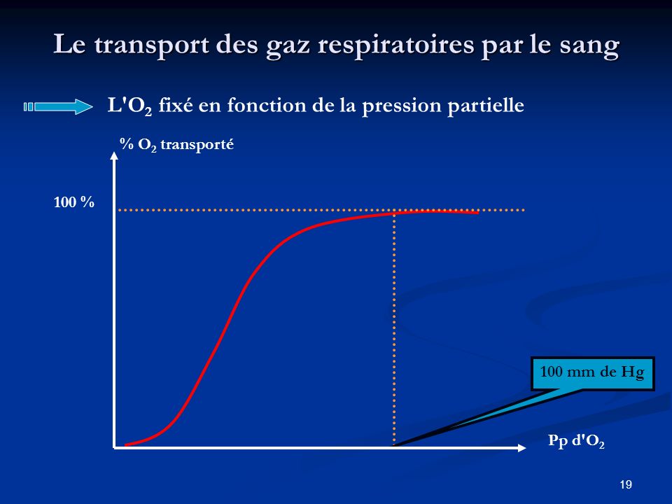 Le transport des gaz respiratoires par le sang