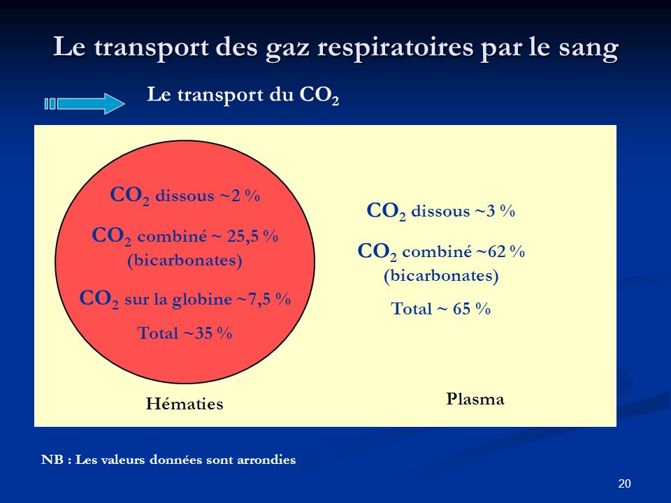 Le transport des gaz respiratoires par le sang