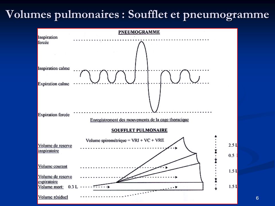 Volumes pulmonaires : Soufflet et pneumogramme