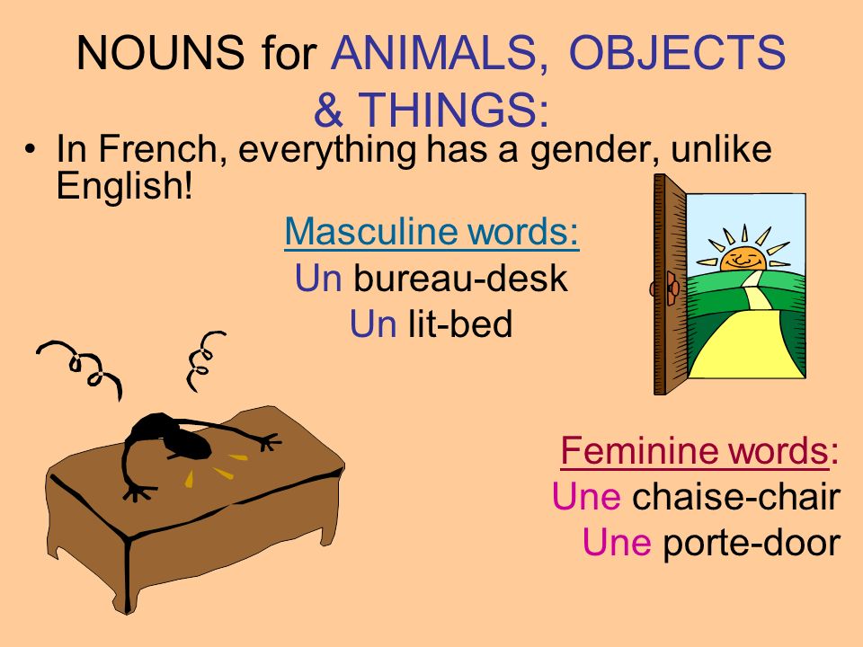 NOUNS for ANIMALS, OBJECTS & THINGS: